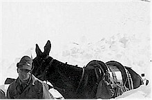 Rudella Pietro anno 1957