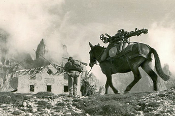 Forcella Ombrettola anno 1956 Btr 29