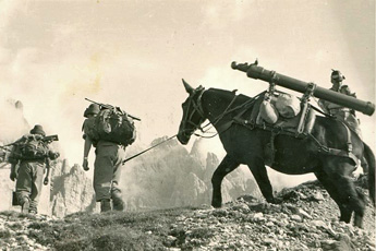 Forcella Ombrettola anno 1956 Btr. 29