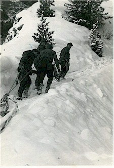 Slitta per trasporto sezioni di obice dell'artiglieria da montagna